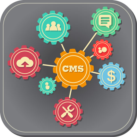 Graphic depicting the elements of a CMS system