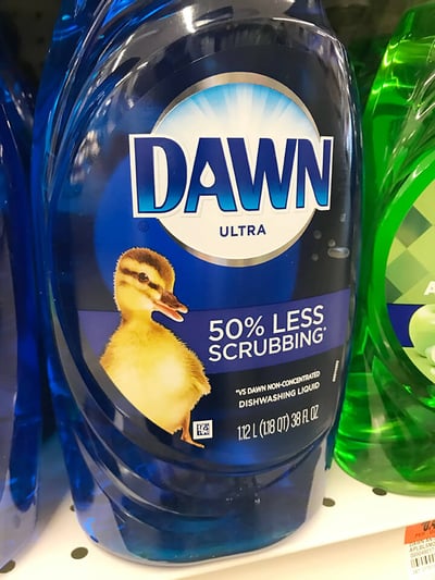 Dawn-dishwashing-duck-Helps-Save-Wildlife