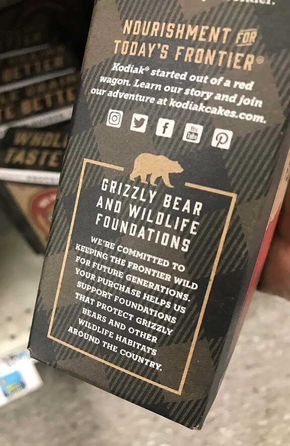Grizzly-Bear-Foundation