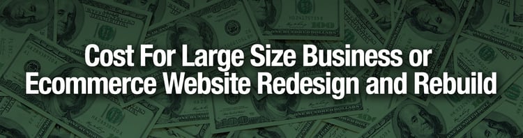 Cost-For-Large-Size-Business-or-Shopping-Website-Redesign-and-Rebuild.jpg