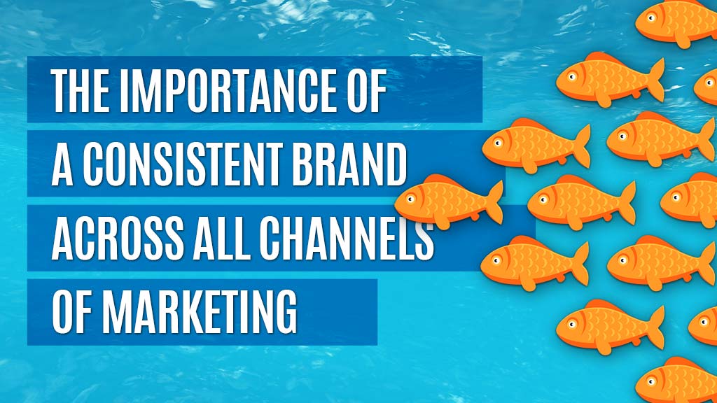 A school of fish that represents brand consistency.