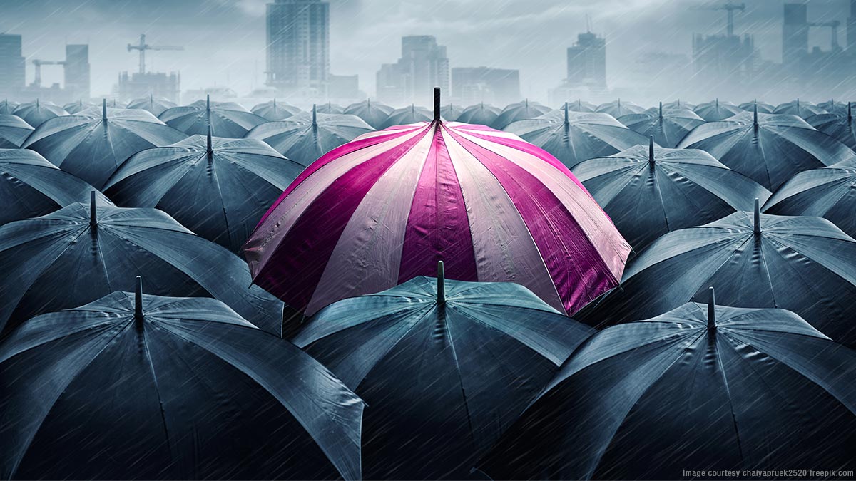 One pink umbrella in a crowd of gray umbrellas
